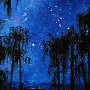 Starry Night, Melrose - Oil on wood 10 x 8 Copyright 2009 Tim Malles (512x640)